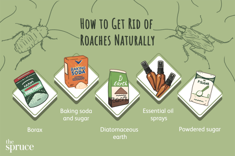 What kills cockroaches instantly